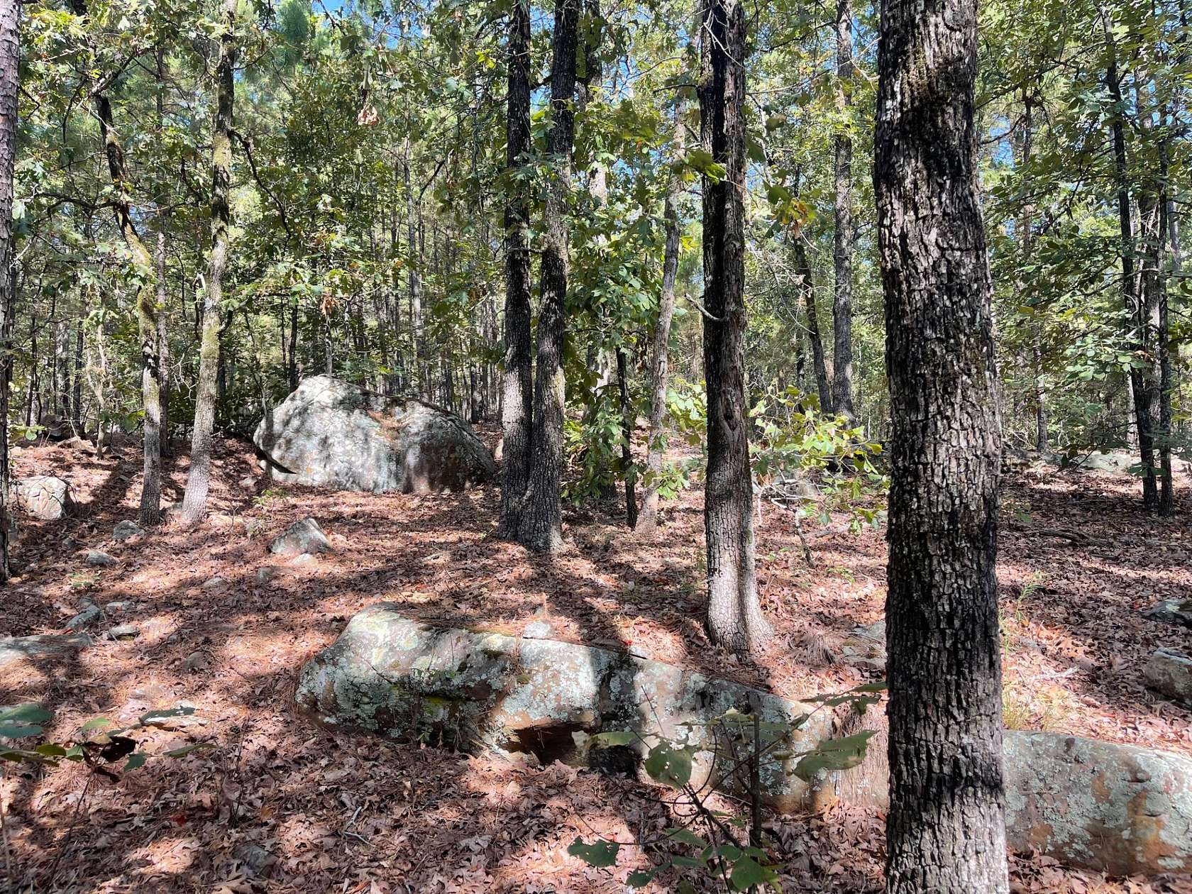 100 Acres of Land for Sale in Antlers, Oklahoma