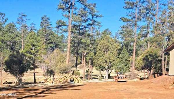 0.24 Acres of Land for Sale in Lakeside, Arizona