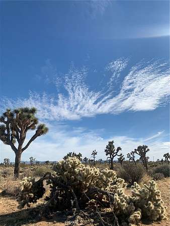 2.5 Acres of Land for Sale in Yucca Valley, California