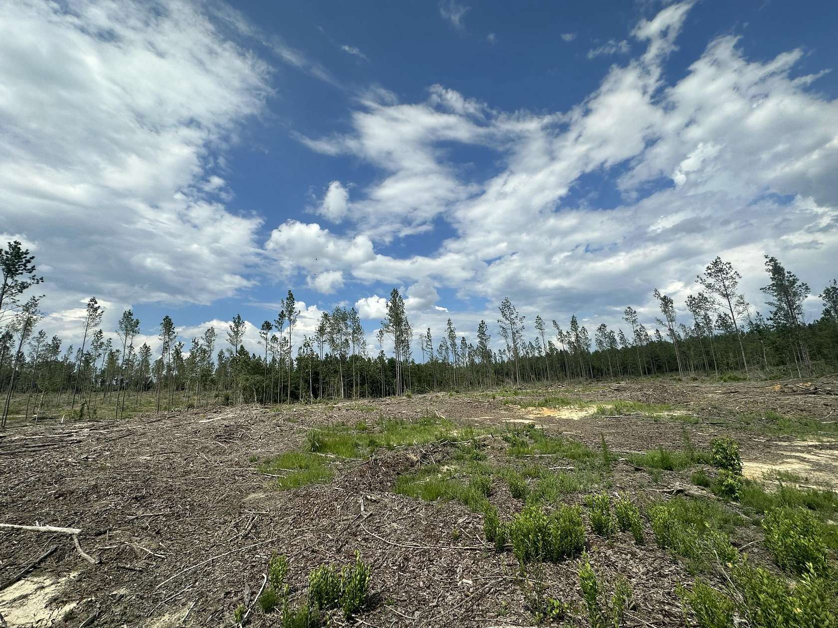 13.2 Acres of Land for Sale in Baker, Florida