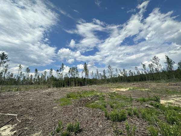 13.2 Acres of Land for Sale in Baker, Florida