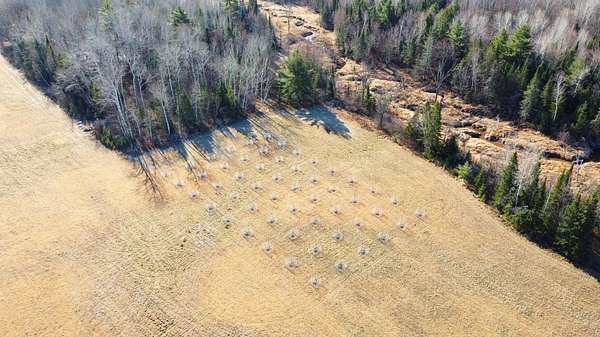 120 Acres of Recreational Land for Sale in Ashland, Wisconsin