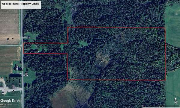 43 Acres of Land for Sale in Caswell Town, Maine