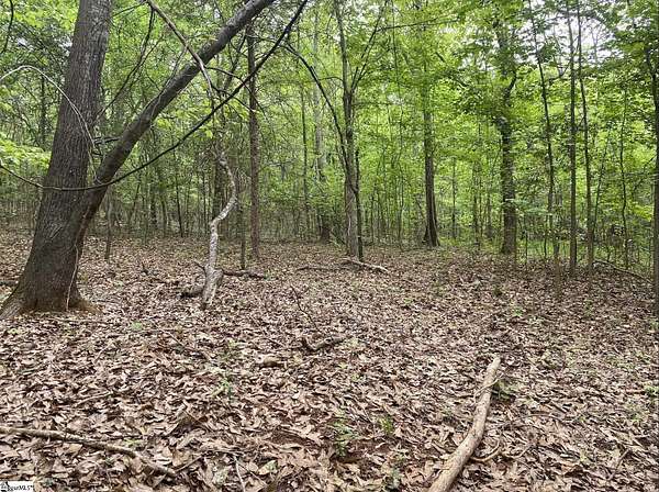 11.8 Acres of Mixed-Use Land for Sale in Wellford, South Carolina