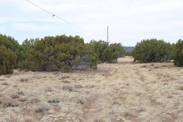 2.18 Acres of Residential Land for Sale in Concho, Arizona
