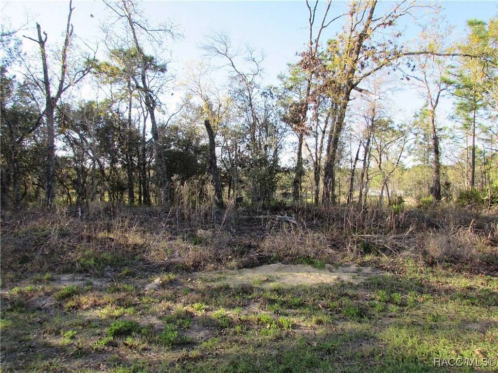 0.23 Acres of Residential Land for Sale in Dunnellon, Florida