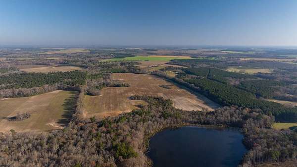 148 Acres of Recreational Land & Farm for Sale in Pineview, Georgia