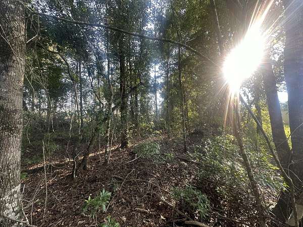 24.5 Acres of Recreational Land for Sale in Baker, Florida