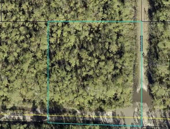 1.25 Acres of Residential Land for Sale in Hastings, Florida