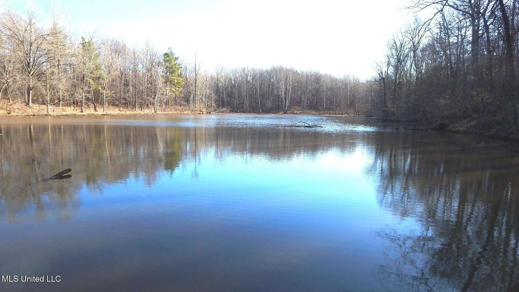 83.6 Acres of Land for Sale in Hernando, Mississippi