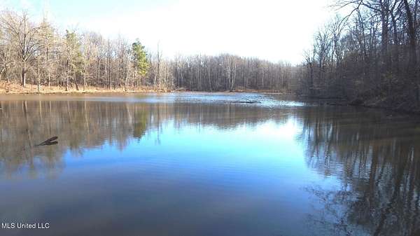 83.6 Acres of Land for Sale in Hernando, Mississippi