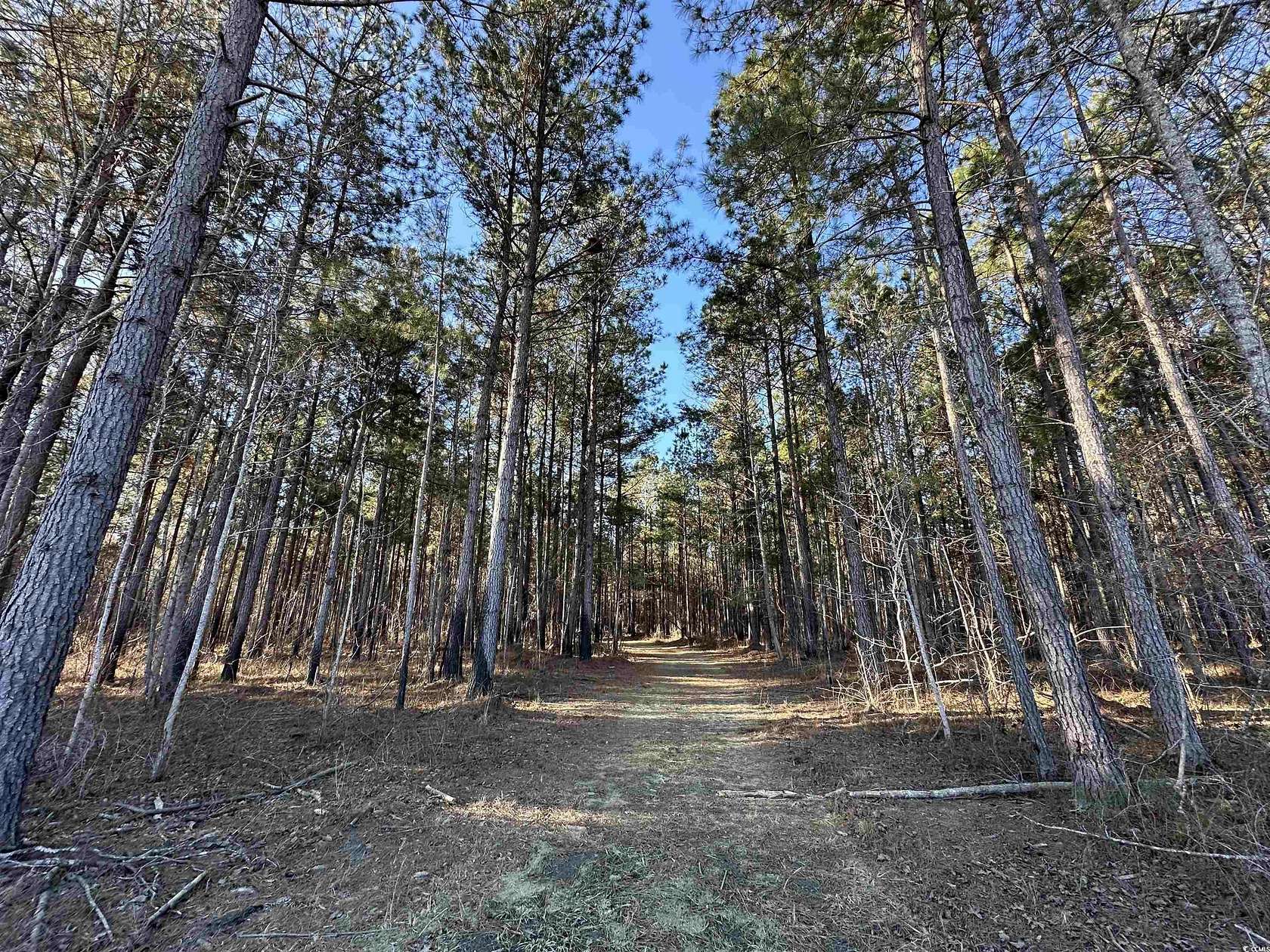 262 Acres of Recreational Land for Sale in Salters, South Carolina