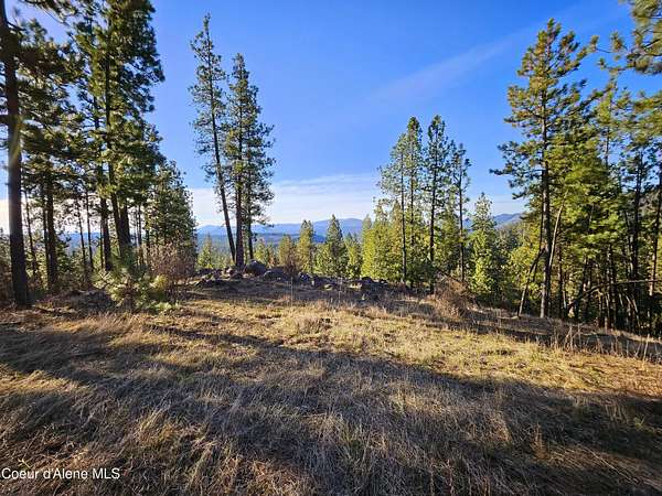 11.4 Acres of Land for Sale in St. Maries, Idaho