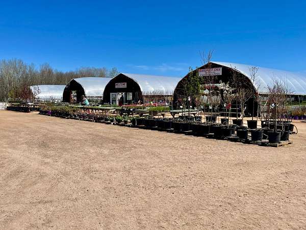 10 Acres of Improved Land for Sale in Phillips, Wisconsin