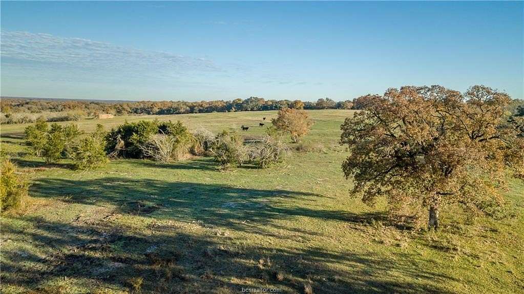 46 Acres of Recreational Land for Sale in Brenham, Texas