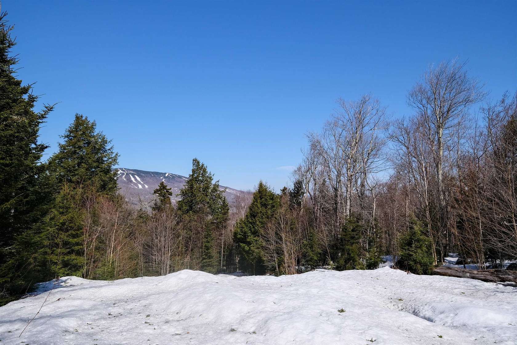 9.88 Acres of Residential Land for Sale in Ludlow, Vermont