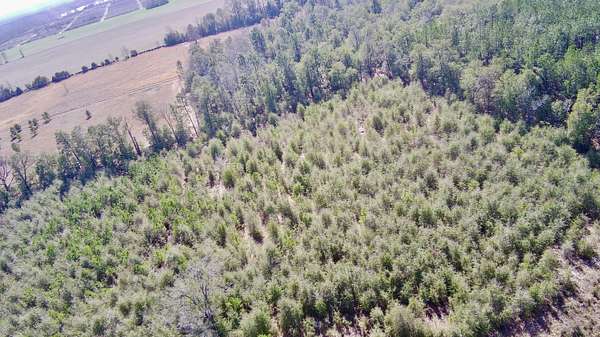 7.12 Acres of Land for Sale in Springfield, South Carolina