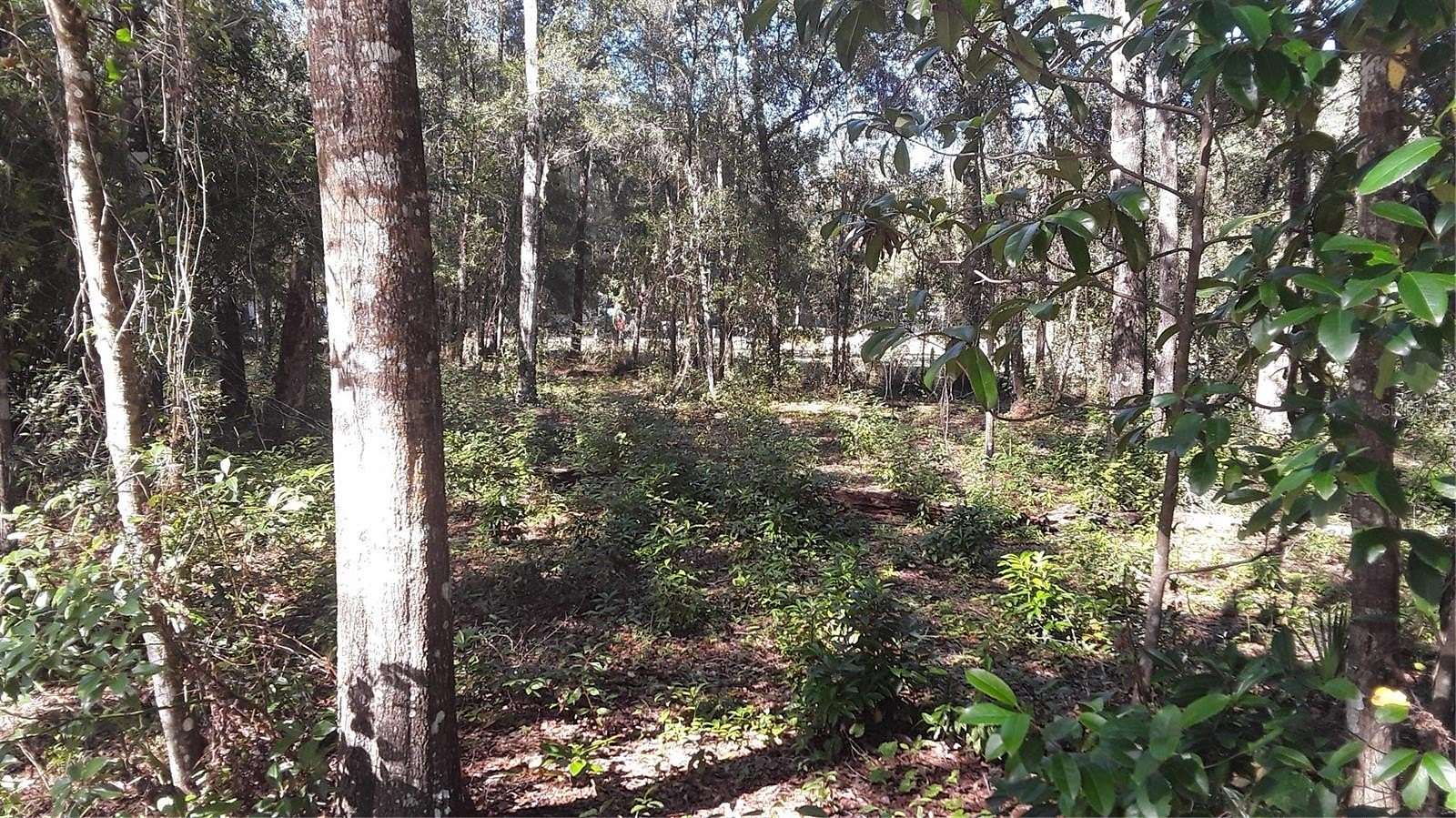 0.19 Acres of Residential Land for Sale in Umatilla, Florida