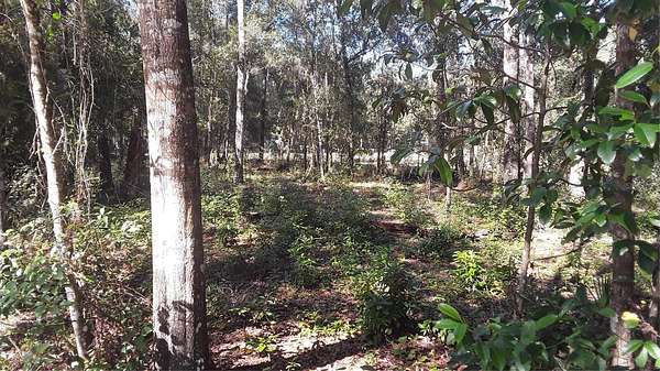 0.19 Acres of Residential Land for Sale in Umatilla, Florida