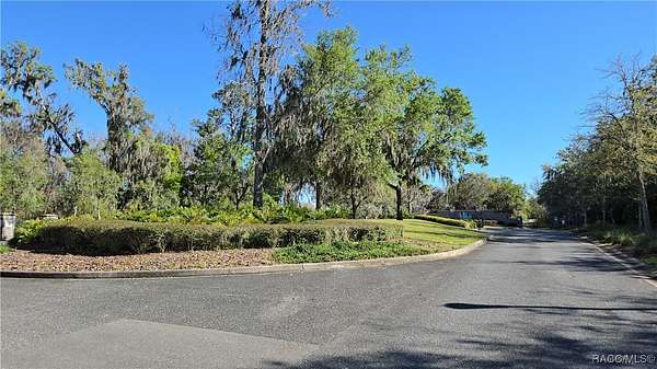 0.29 Acres of Residential Land for Sale in Hernando, Florida