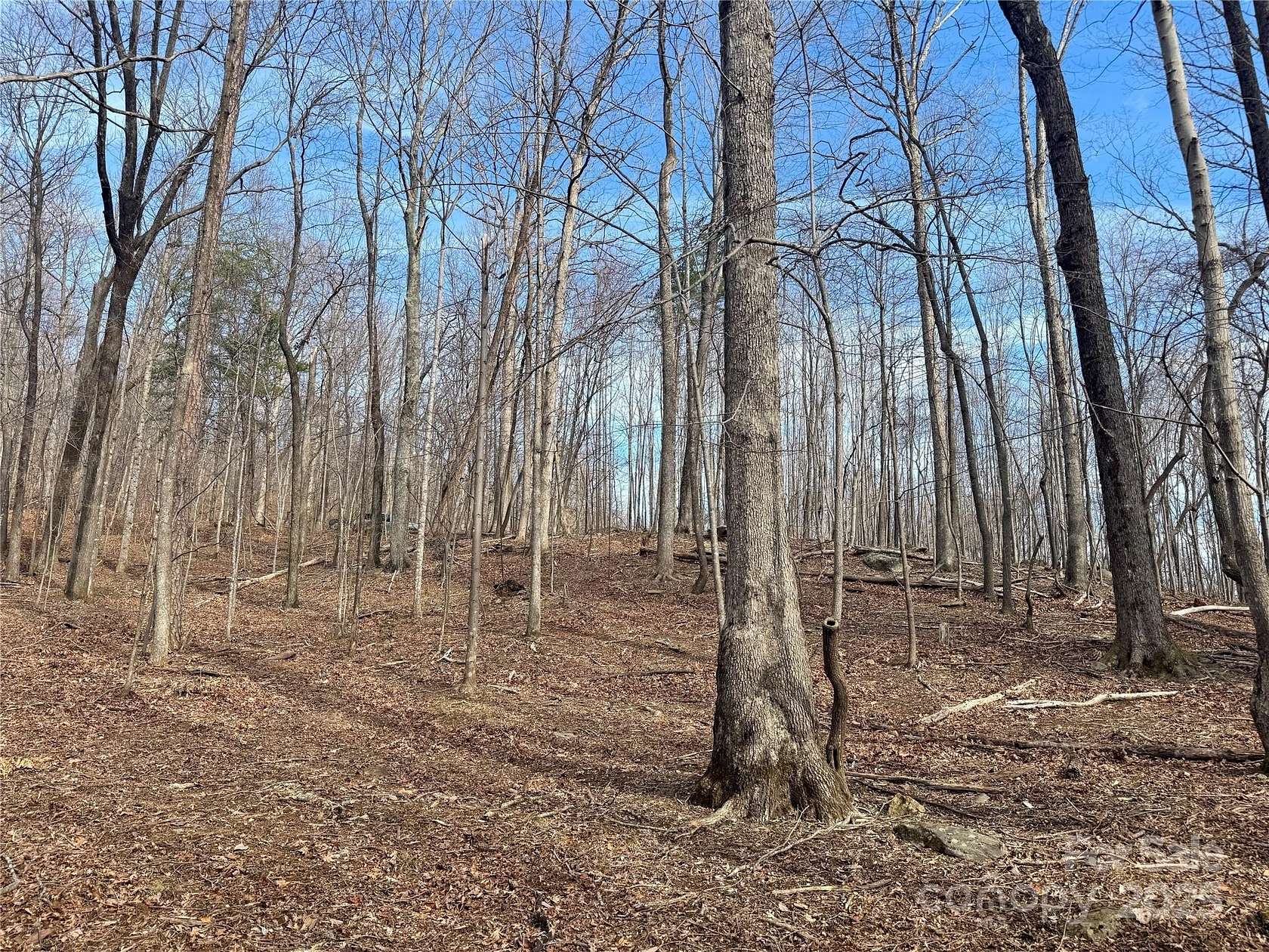 2.28 Acres of Residential Land for Sale in Mill Spring, North Carolina