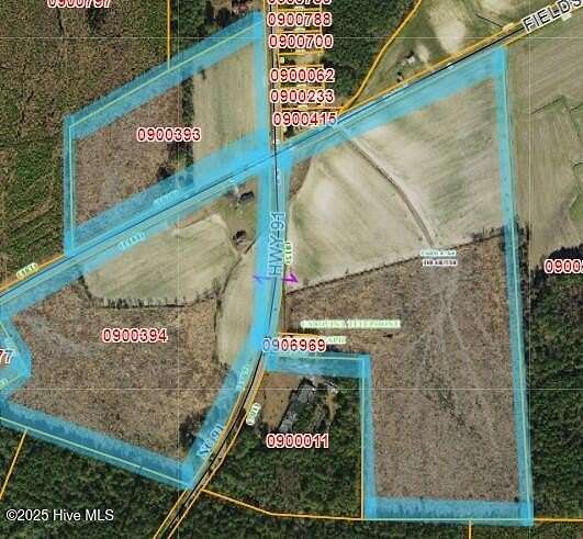81.5 Acres of Land for Sale in Walstonburg, North Carolina