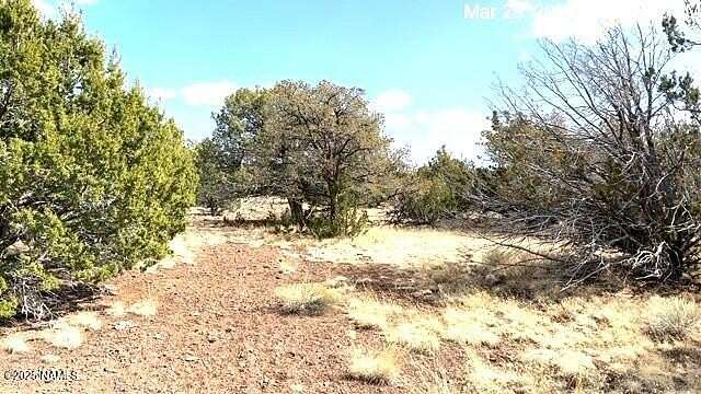 1 Acre of Land for Sale in Williams, Arizona