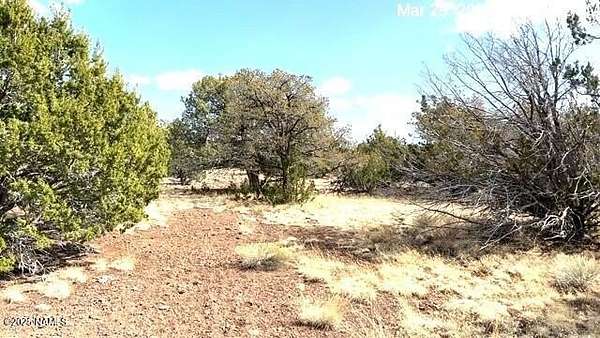 1 Acre of Land for Sale in Williams, Arizona