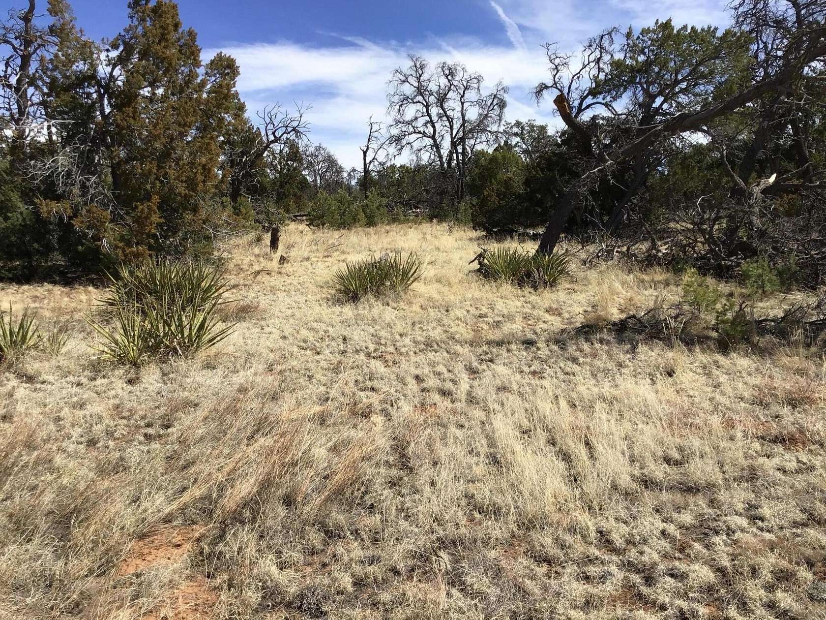 2.5 Acres of Residential Land for Sale in Ramah, New Mexico