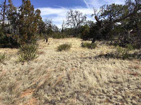 2.5 Acres of Residential Land for Sale in Ramah, New Mexico