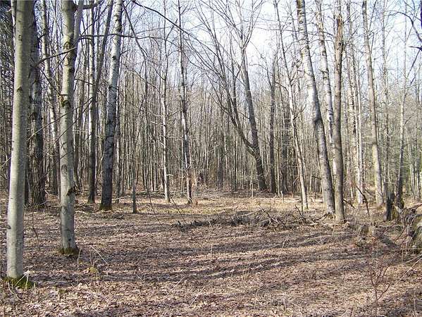 9 Acres of Residential Land for Sale in Oneonta, New York