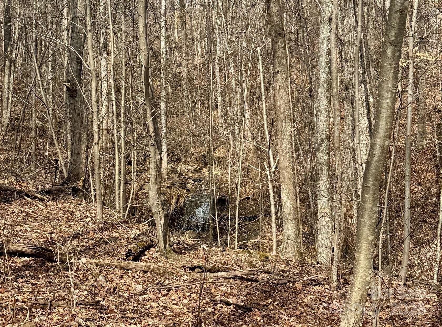 1.83 Acres of Residential Land for Sale in Mill Spring, North Carolina