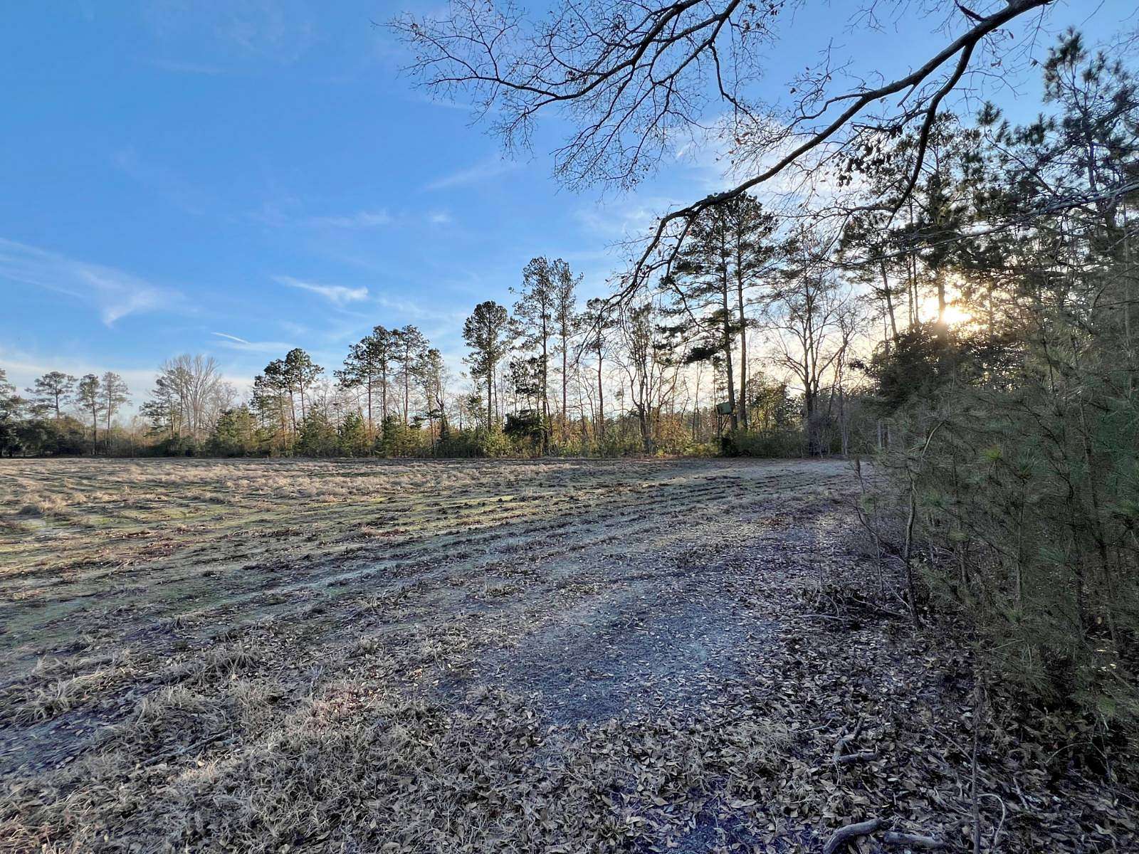 24.2 Acres of Land for Sale in Brunson, South Carolina