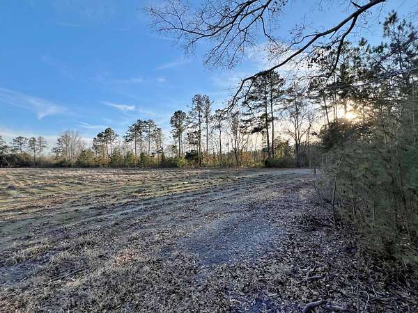 24.2 Acres of Land for Sale in Brunson, South Carolina