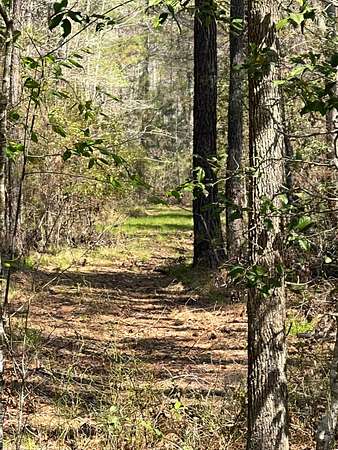 10 Acres of Land for Sale in Garnett, South Carolina