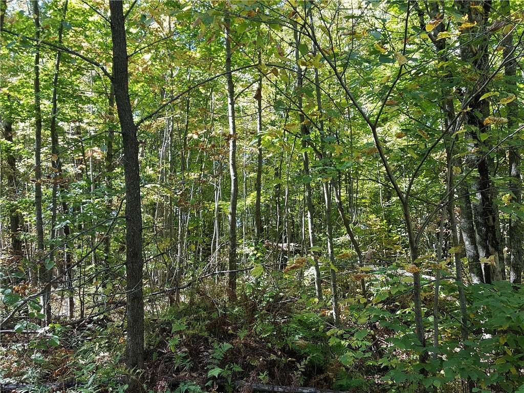 280 Acres of Land for Sale in Mason, Wisconsin