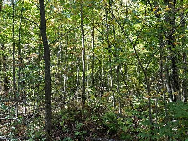 280 Acres of Land for Sale in Mason, Wisconsin