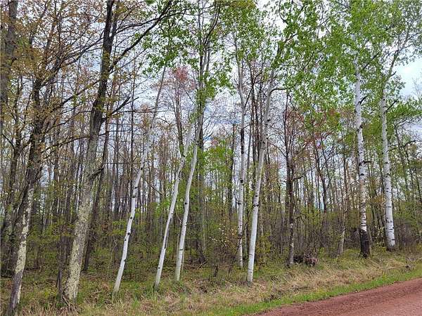 40 Acres of Recreational Land for Sale in Mellen, Wisconsin