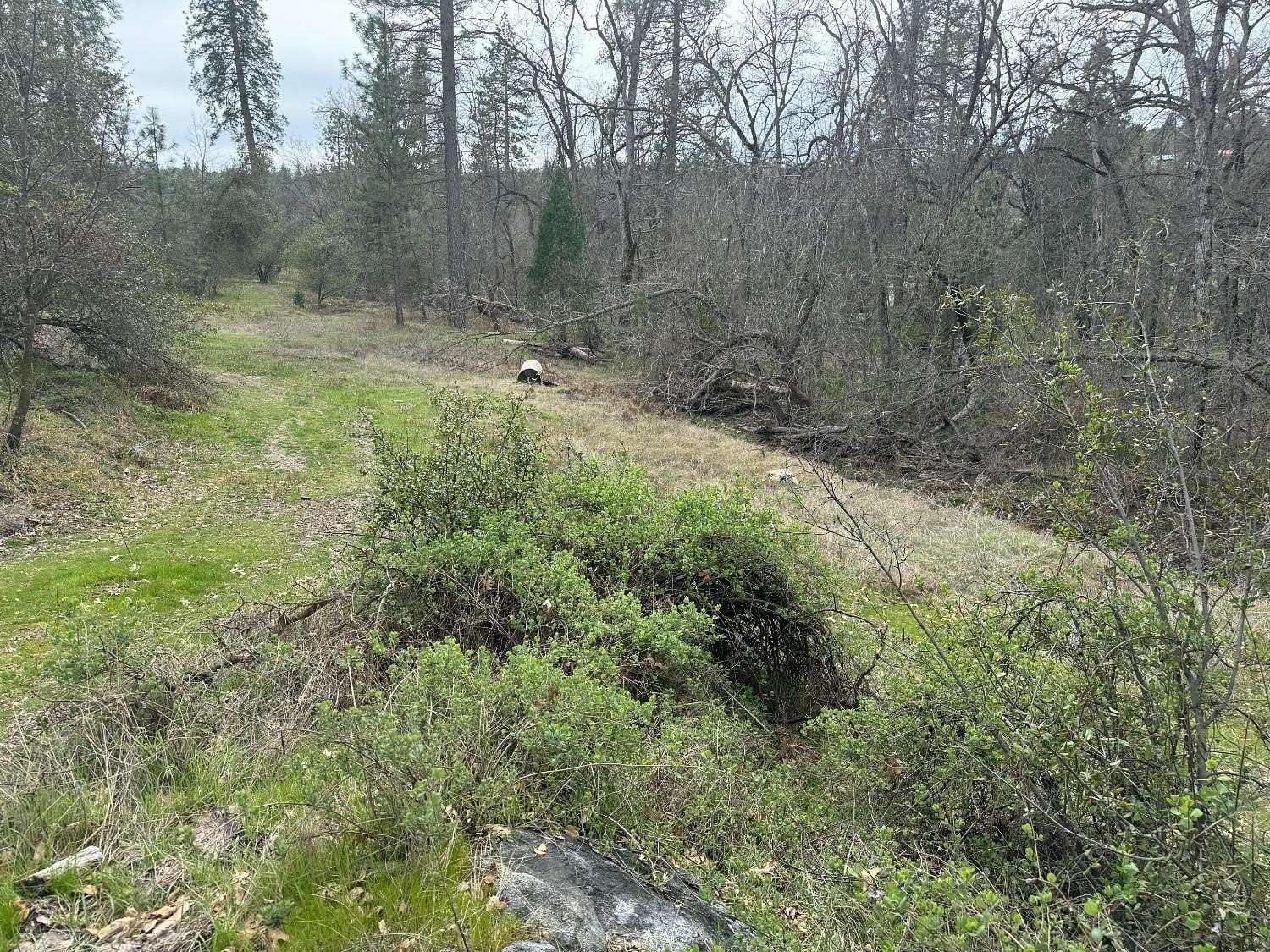 1.36 Acres of Mixed-Use Land for Sale in North Fork, California