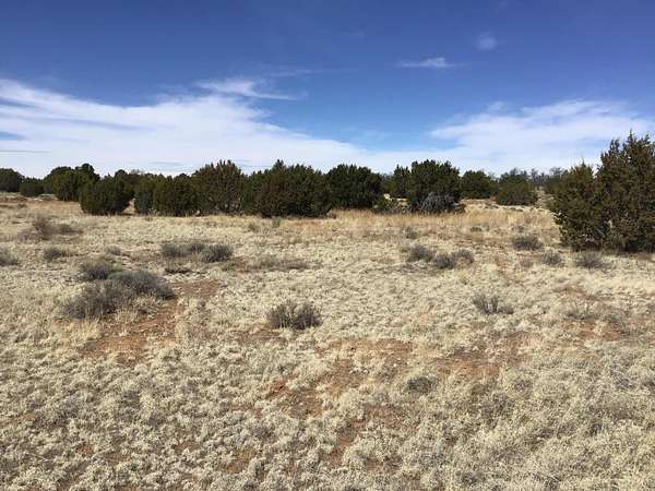5 Acres of Land for Sale in Ramah, New Mexico