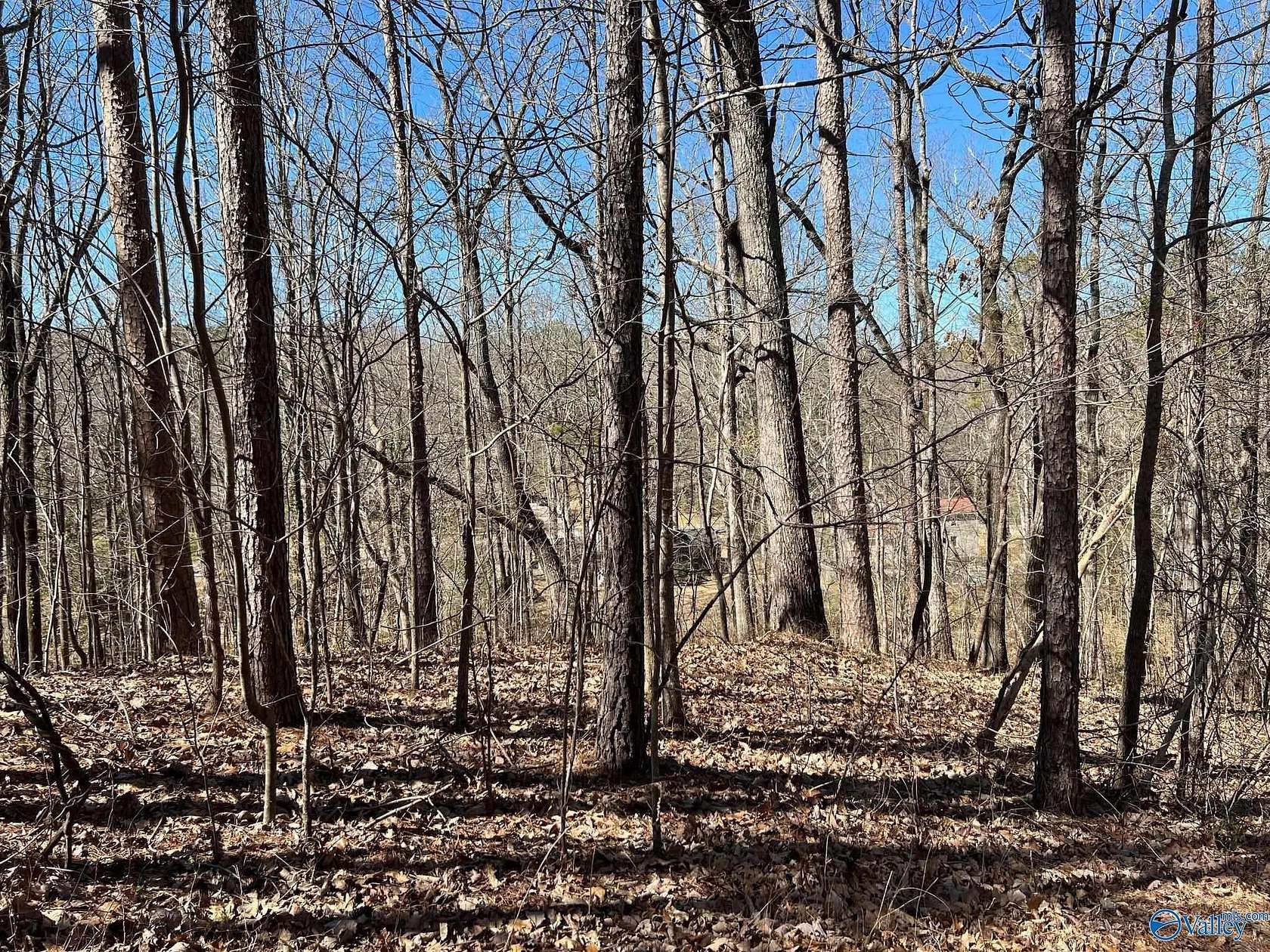 0.7 Acres of Land for Sale in Gadsden, Alabama