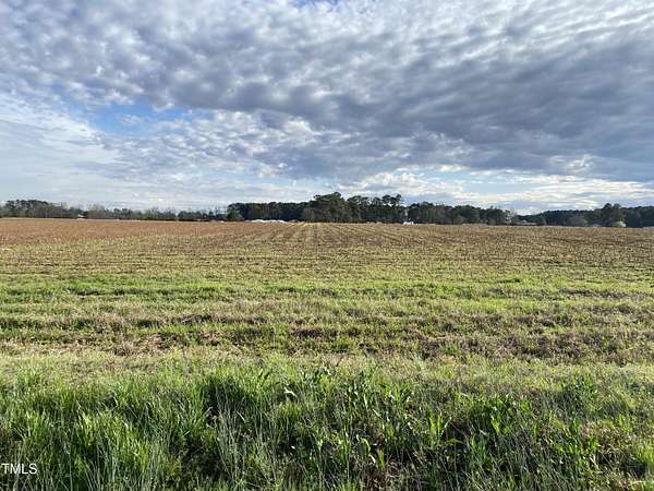 39.2 Acres of Land for Sale in Dunn, North Carolina