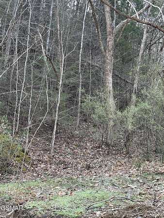 25.3 Acres of Mixed-Use Land for Sale in Pigeon Forge, Tennessee