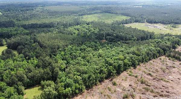 41 Acres of Recreational Land for Sale in Warren, Arkansas