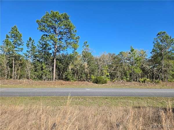 0.23 Acres of Residential Land for Sale in Citrus Springs, Florida
