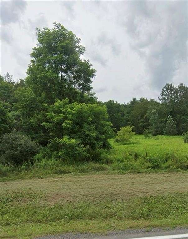 65 Acres of Recreational Land & Farm for Sale in Prattsville, New York