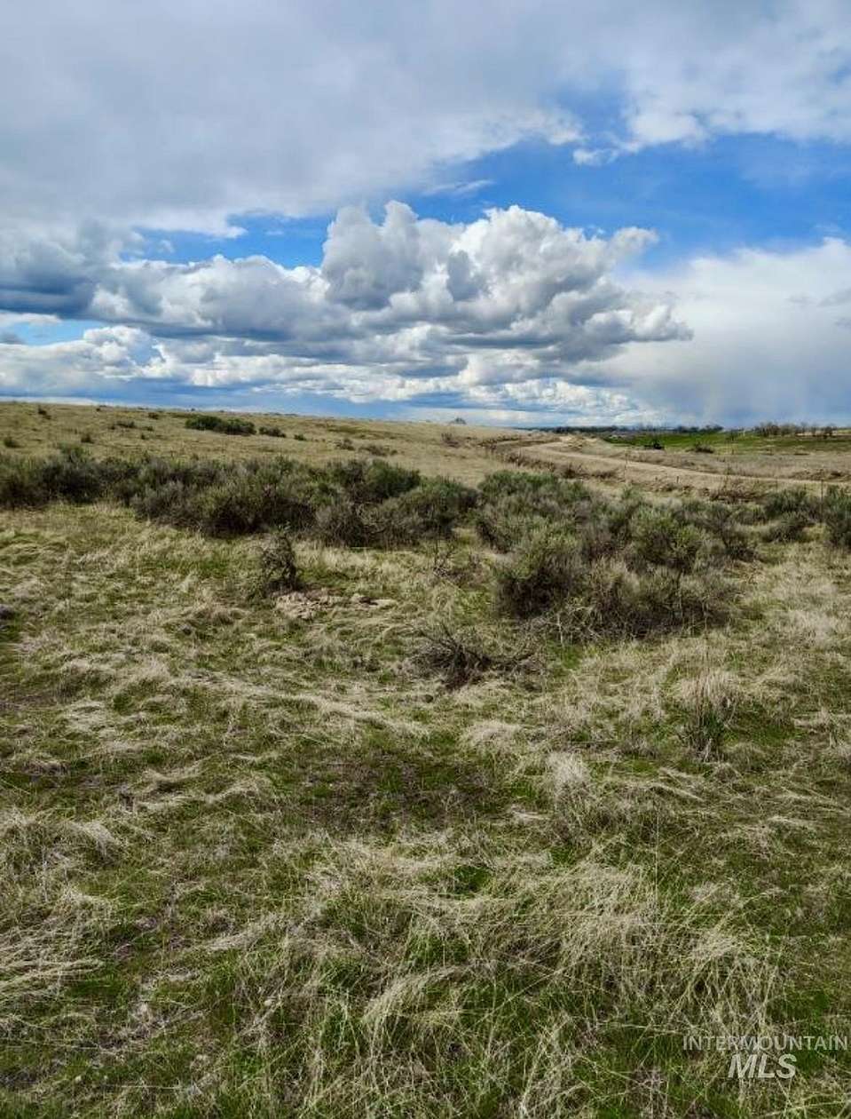 39 Acres of Agricultural & Residential Land for Sale in Parma, Idaho