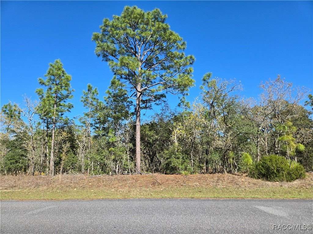 0.23 Acres of Residential Land for Sale in Citrus Springs, Florida