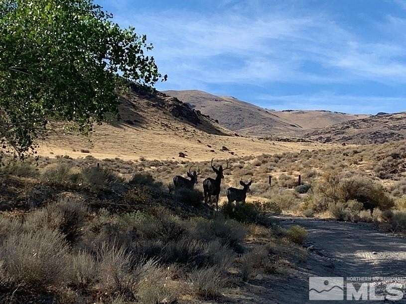 40 Acres of Recreational Land for Sale in Reno, Nevada