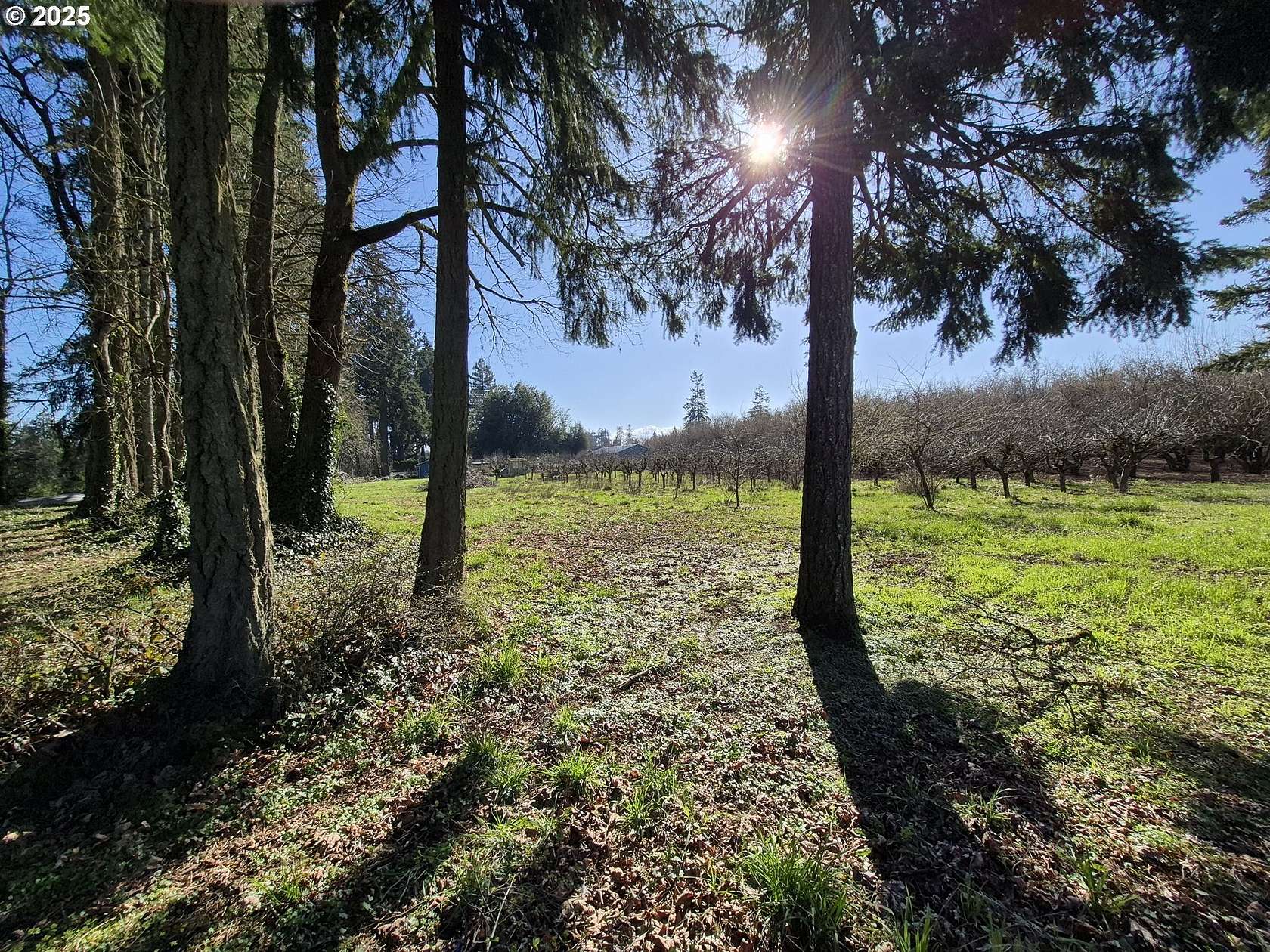 5 Acres of Land for Sale in Eugene, Oregon